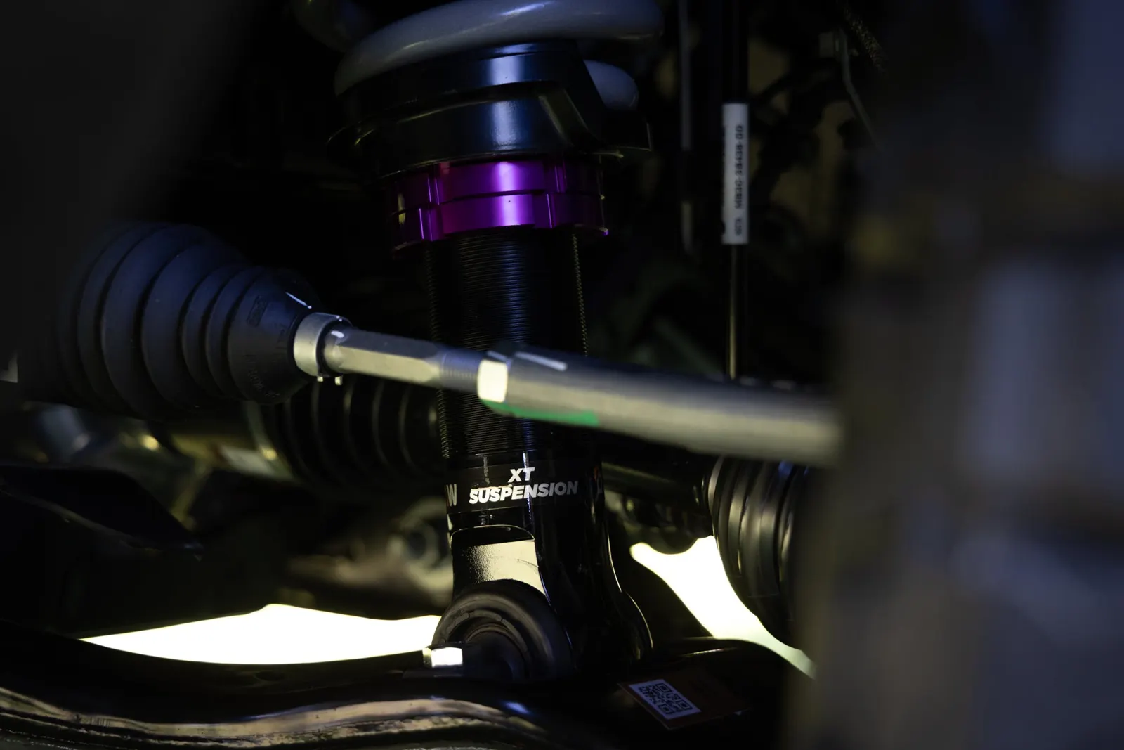DMW XT front struts and springs (DMW suspension package)