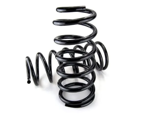 Coil Springs - Rear - TLC200 - Trail