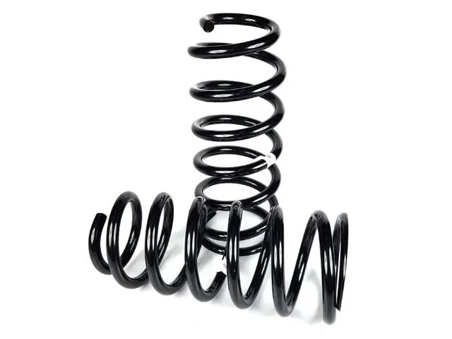 Coil Springs - Rear - TLC200 - Expedition HD