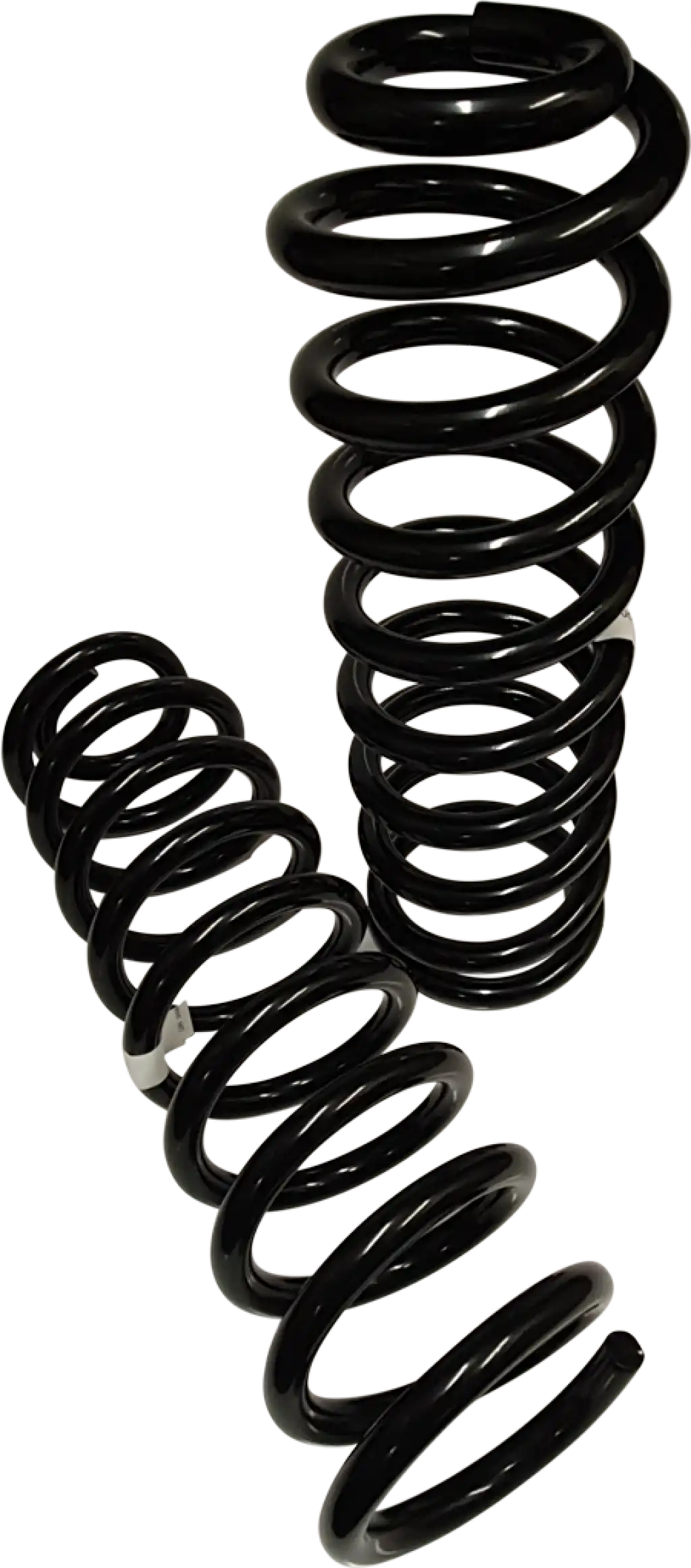 Coil Springs - Rear - Ram 1500 DS - Trail